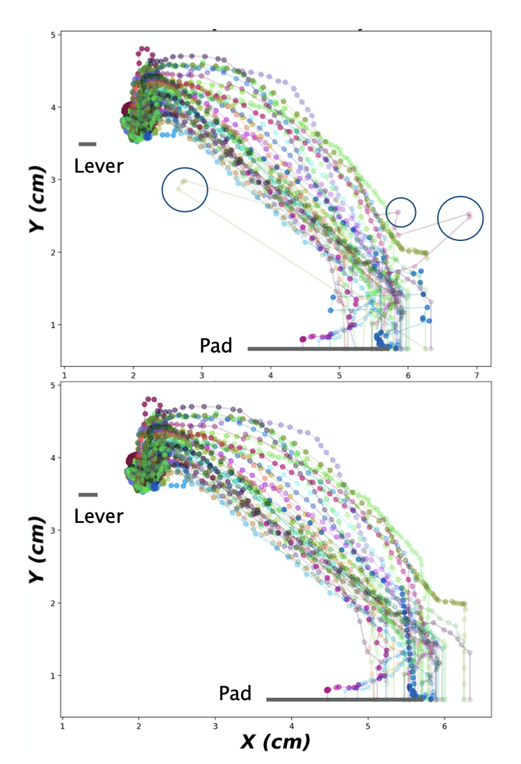 ../../_images/mis_tracking_lever_reaching.png